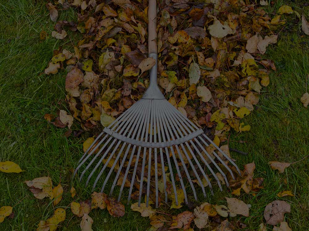 Pompton Lakes Commercial Property Maintenance