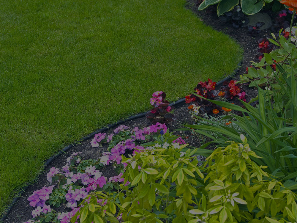 Pompton Lakes Garden Design