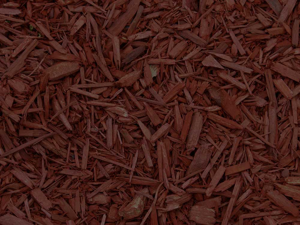Pompton Lakes Mulching