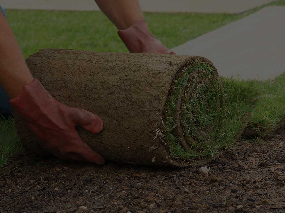 Pompton Lakes Sodding